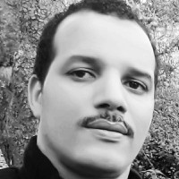 Hicham Afallah, Phd