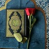 Monir De