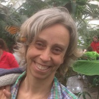 Wendy Lomas