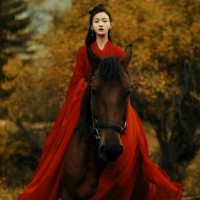 张久华