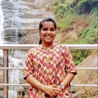 Krishnendu B Menon