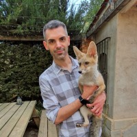 Sergi Castaño Torra