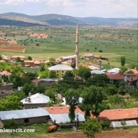 Yenimescit Koyu