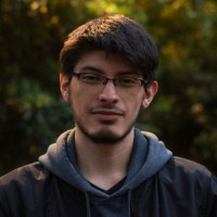 David A. Yela Caicedo