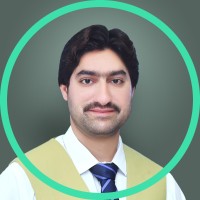 Muhammad Aamir Saleem