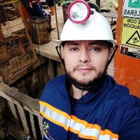 Diego F. Pulido Sastoque