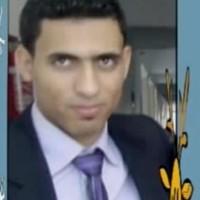 Mostafa Mokhtar Sultan, Pmp®