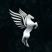 Pegasus writing and publishing house