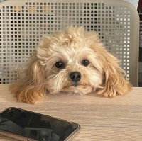 손선우