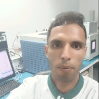 Helmi Abidi