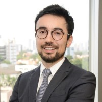 Andre Luis Leme
