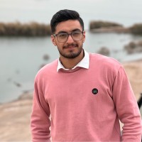 Mostafa Ahooei