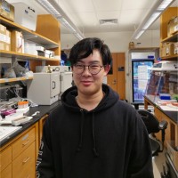 Ethan Ma