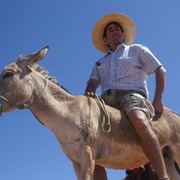 José alexandre Ze  Alexandre