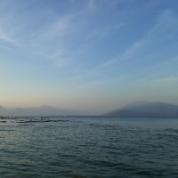 Dr. Judith Nora Hardt