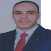 Mohamed Shoura