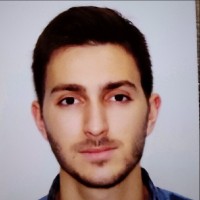 Sinisa Brajic