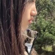 胡特侨