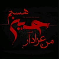 Saleem Raza