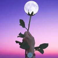 임시원