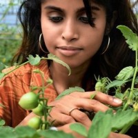 Divya -