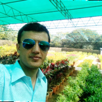 Haroon Ahmad