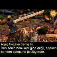 ferhat sarp