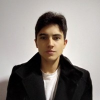 Andres Castellanos Gongora