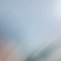 Lf C