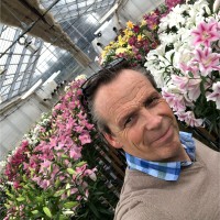 Willem-Jan Van Graas