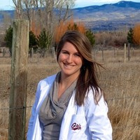 Hanna Delaney, Pharm.D., Bcps