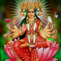 Om Gayatri Estate Agency