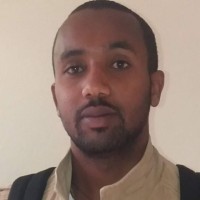 Natnael E. Assefa