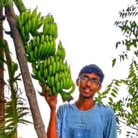 Pradeep R