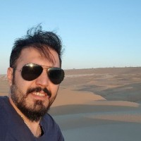 Amir H. Ahani