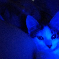 Ricardo ives Herrera hidalgo