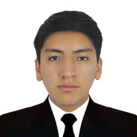 Hanssel Gustavo Flores Rojas