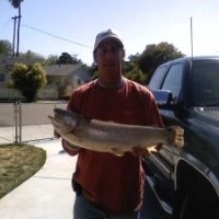 Dennis Tillery