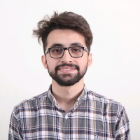 Waleed Anjum