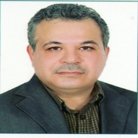Hassan Behzadnezhad