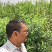 hitesh vasani