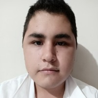 Carlos Alberto Viveros Reyna