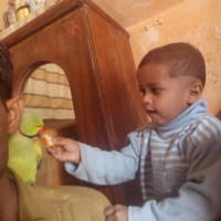Ahmed Ali Shah