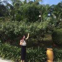 徐美丹
