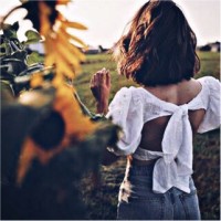 Lily Travel