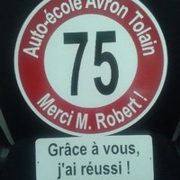 georges robert