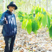 Arsyi Choerul Hadi