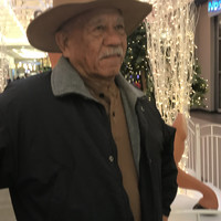 Reynaldo Meneses
