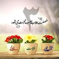 Mohsen Saeed