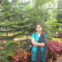 Suma N